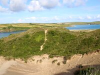 GB, Cornwall, St Minver, Rock 1, Saxifraga-Foto Fitis- Sytske Dijksen