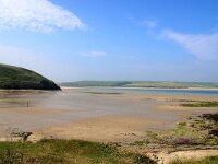 GB, Cornwall, St Minver, Rock 9, Saxifraga-Foto Fitis- Sytske Dijksen