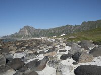 N, Nordland, Andoy, Bleik 17, Saxifraga-Willem van Kruijsbergen