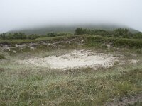 N, Nordland, Andoy, Sandhaugan 1, Saxifraga-Willem van Kruijsbergen