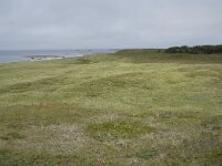 N, Nordland, Andoy, Sandhaugan 21, Saxifraga-Willem van Kruijsbergen