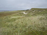 N, Nordland, Andoy, Sandhaugan 26, Saxifraga-Willem van Kruijsbergen