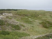 N, Nordland, Andoy, Sandhaugan 3, Saxifraga-Willem van Kruijsbergen