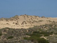 P, Faro, Aljezur, Carrapateira 148, Saxifraga-Willem van Kruijsbergen