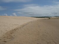 P, Faro, Aljezur, Carrapateira, Praia da Bordeira 16, Saxifraga-Willem van Kruijsbergen