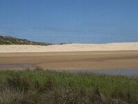 P, Faro, Aljezur, Carrapateira, Praia da Bordeira 9, Saxifraga-Willem van Kruijsbergen