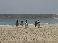 E, Cadiz, Tarifa, Bolonia 3, Saxifraga-Jan van der Straaten