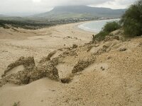 E, Cadiz, Tarifa, Bolonia, Duna de Bolonia 7, Saxifraga-Willem van Kruijsbergen