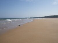 E, Cantabria, Liencres, Dunas de Liencres 21, Saxifraga-Willem van Kruijsbergen