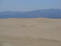 E, Tarragona, Deltebre, El Fangar 19, Saxifraga-Jan van der Straaten