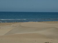 E, Tarragona, Deltebre, El Fangar 5, Saxifraga-Jan van der Straaten