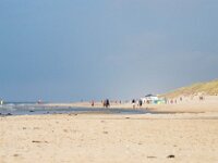 NL, Noord-Holland, Texel 42, Saxifraga-Bart Vastenhouw