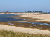 NL, Noord-Holland, Texel, Prins Hendrik polder 2, Saxifraga-Foto Fitis-Sytske Dijksen