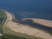 NL, Noord-Holland, Texel, Prins Hendrik polder 5, Saxifraga-Foto Fitis-Sytske Dijksen