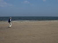 NL, Zeeland, Schouwen-Duiveland, Zeerust 4, Saxifraga-Jan van der Straaten