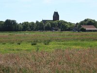 NL, Friesland, Ameland, Hollumermieden 1, Saxifraga-Hans Boll