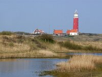 NL, Noord-Holland, Texel, Robbenjager 3, Saxifraga-Foto Fitis-Sytske Dijksen