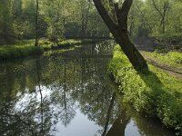 B, Liege, Plombieres, Geul 11, Saxifraga-Willem van Kruijsbergen