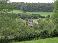 B, Limburg, Voeren, Veursbos 6, Saxifraga-Tom Heijnen