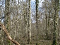F, Haute-Marne, St Dizier, Lac du Der 11, Saxifraga-Henk Sierdsema