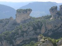 F, Lozere, Le Rozier 15, Saxifraga-Dirk Hilbers