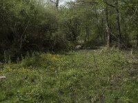 F, Nievre, Saint-Agnan 16, Saxifraga-Willem van Kruijsbergen