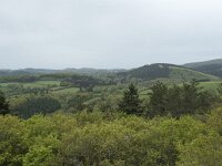 F, Yonne, Quarre-les Tombes, Rocher de la Perouse 3, Saxifraga-Willem van Kruijsbergen