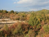 GR, Anatoliki Makedonia kai Thraki, Komotini 54, Saxifraga-Dirk Hilbers