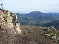 GR, Evros, Soufli, Dadia forest 27, Saxifraga-Dirk Hilbers