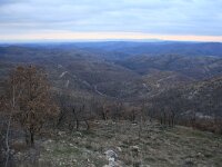 GR, Evros, Soufli, Dadia forest 40, Saxifraga-Dirk Hilbers