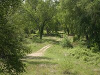 GR, Kavala, Nestos 19, Saxifraga-Dirk Hilbers