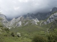 E, Cantabria, Camaleno, Brez 30, Saxifraga-Willem van Kruijsbergen