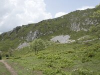 E, Cantabria, Camaleno, Brez 39, Saxifraga-Willem van Kruijsbergen