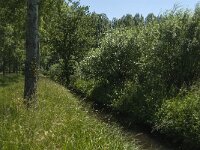 NL, Noord-Brabant, Altena, Pompveld 18, Saxifraga-Jan van der Straaten