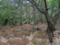 GR, Lesbos, Mytilini, near Klapados 1, Saxifraga-Tom Heijnen