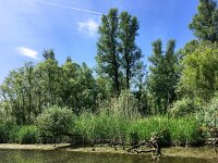 NL, Noord-Brabant, Altena, Gat van de Buisjes 4, Saxifraga-Bart Vastenhouw