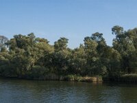 NL, Noord-Brabant, Altena, Middelste Gat van het Zand 1, Saxifraga-Jan van der Straaten