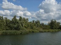 NL, Noord-Brabant, Altena, Noordplaatje 3, Saxifraga-Jan van der Straaten