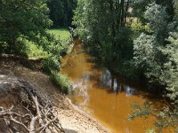 NL, Overijssel, Dinkelland, Dinkel 4, Saxifraga-Foto Fitis-Sytske Dijksen