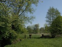 NL, Noord-Brabant, Baarle-Nassau, Baarlebrug 29, Saxifraga-Willem van Kruijsbergen