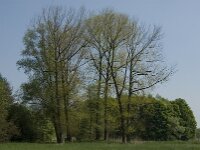 NL, Noord-Brabant, Baarle-Nassau, Baarlebrug 39, Saxifraga-Willem van Kruijsbergen