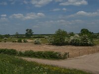 NL, Noord-Brabant, Boxmeer, Oeffelter Meent 25, Saxifraga-Jan van der Straaten