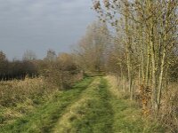 NL, Noord-Brabant, Boxmeer, Oeffelter Meent 7, Saxifraga-Jan van der Straaten