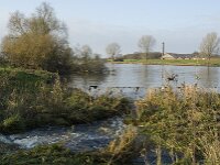 NL, Noord-Brabant, Boxmeer, Oeffelter Raam 1, Saxifraga-Jan van der Straaten