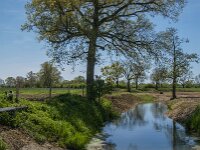 NL, Noord-Brabant, Boxmeer, St Jansbeek 3, Saxifraga-Marijke Verhagen