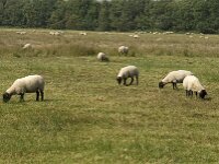 Boxtel