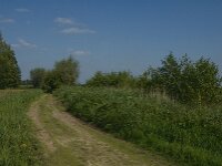NL, Noord-Brabant, Oisterwijk, Den Opslag 17, Saxifraga-Jan van der Straaten