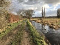 NL, Noord-Brabant, Oisterwijk, Hoevensesteeg 3, Saxifraga-Jan van der Straaten