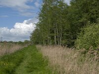 NL, Noord-Brabant, Oisterwijk, Voorste Stroom 39, Saxifraga-Jan van der Straaten