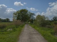 NL, Noord-Brabant, Oisterwijk, Voorste Stroom 54, Saxifraga-Jan van der Straaten